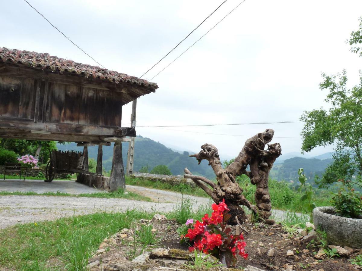 Casa Iris Guest House Narciandi Екстериор снимка